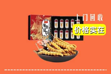 大化县回收虫草